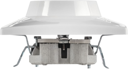 ERK24-K01-16-DM