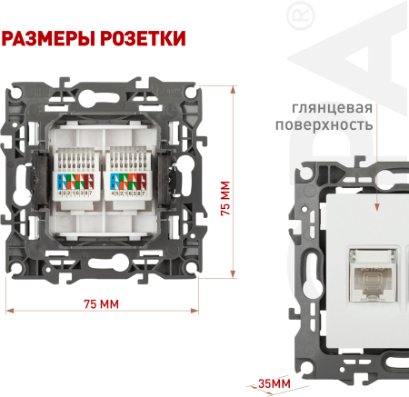 Б0014729