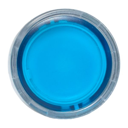 Исполнительный механизм кнопки XB4 синий плоский  возвратный без фиксации, с подсветкой EKF PROxima