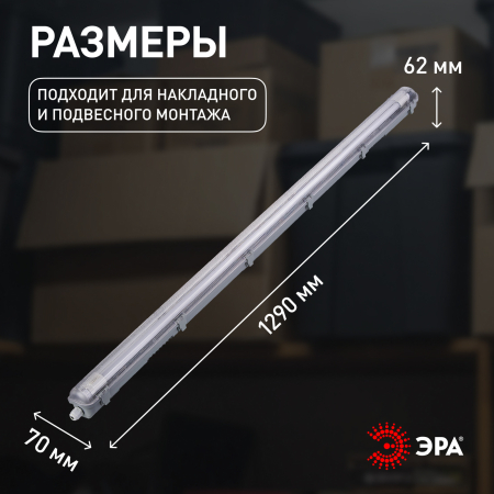 SPP-101-0-001-120  ЭРА Св-к IP65 под светодиод. лампу T8 G13 1200мм