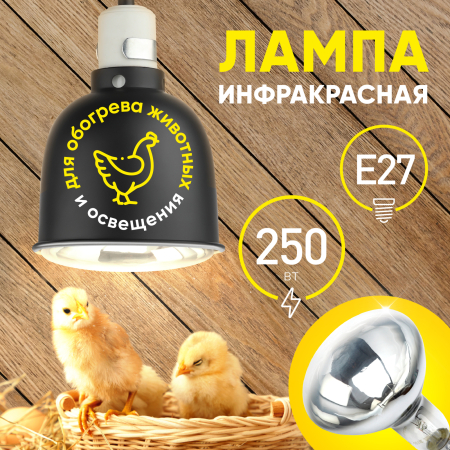 ИКЗ 220-250 R127 E27   Инфракрасная лампа ЭРА ИКЗ 220-250 R127 E27, кратность 1 шт., для обогрева животных и освещения, 250 Вт, Е27