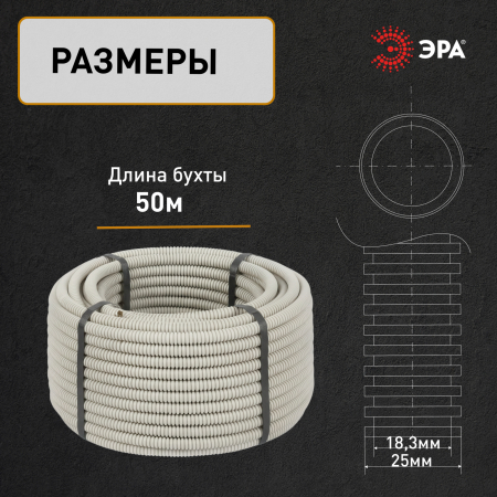 Б0020113