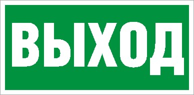 ПЭУ 010 Выход (280х162) РС-I i-BRILL пиктограмма