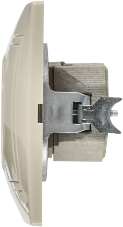 ERK13-K33-10-DM