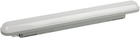 SPP-201-0-40K-018 ЭРА Светильник светодиодный линейный IP65 18Вт 1710Лм 4000К 600мм мат