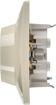 ERK21-K33-16-DM