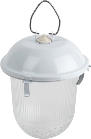 НСП 02-100-001  Светильник ЭРА  НСП 02-100-001 без решетки Желудь сталь / стекло IP54 E27 max 100Вт 170х260 белый