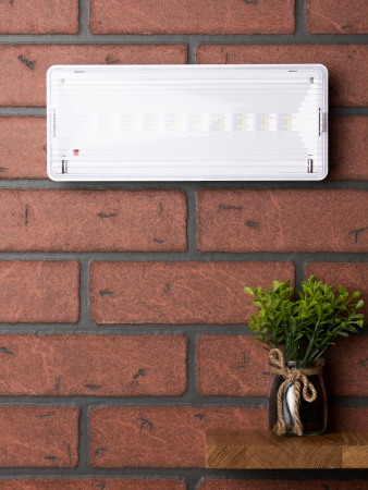 Светильник аварийного освещения SAFEWAY-10 LED EKF Proxima