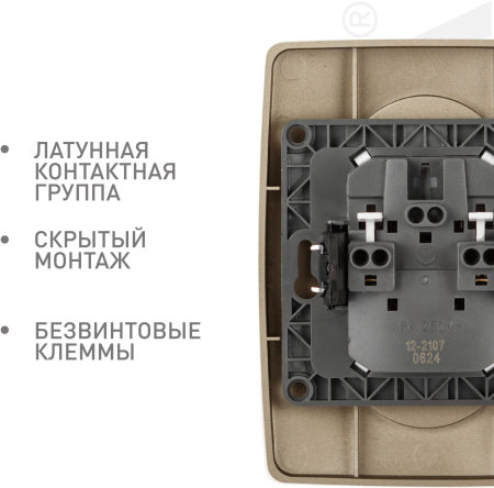 Б0031241