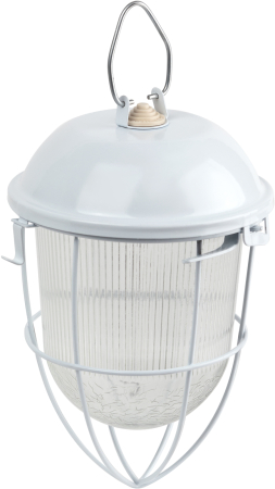 НСП 02-100-003  Светильник ЭРА  НСП 02-100-003 с решеткой Желудь сталь стекло IP54 E27 max 100Вт 170х300 белый