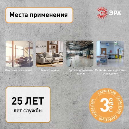 Б0036825
