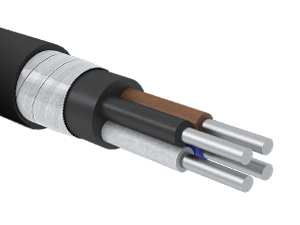 АВБШвнгLS-0,66-40040ок-Нн