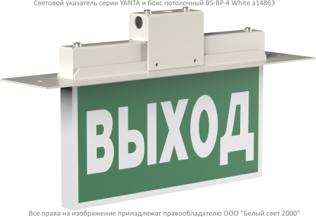 BS-YANTA-73-S1-INEXI2