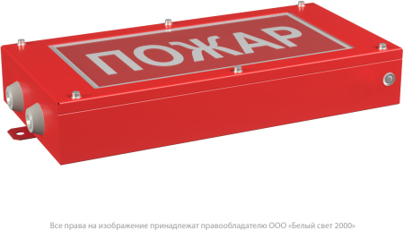 Световой указатель BS-CANRON-81-S1-INEXI3-FELS