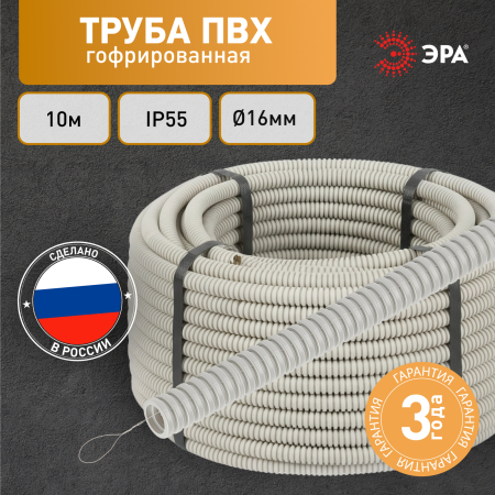 Б0036986
