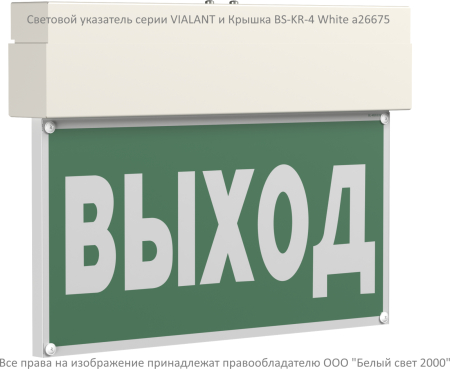 BS-VIALANT-51-S1-INEXI2