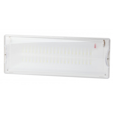 Аварийный светильник светодиодный ЭРА DPA-301-1-65 постоянный 40LED 3ч IP65 NiCD