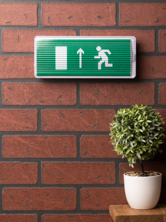 Пиктограмма "Направление прямо" 320х120мм (для EXIT, SAFEWAY-40) EKF