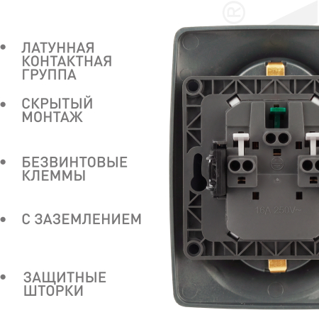 Б0036448