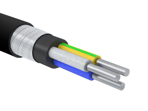 АВБШв-0,66-30040ок-Нн