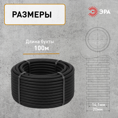 Б0036825