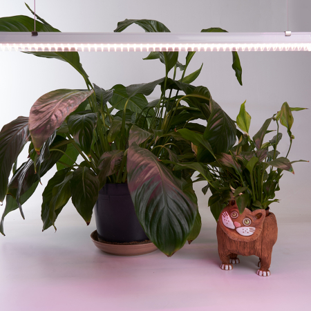 Светодиодный светильник для растений, спектр фотосинтез (полный спектр) 14W, пластик, AL7002