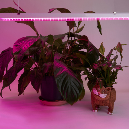 Светодиодный светильник для растений, спектр фотосинтез (красно-синий) 14W, пластик, AL7001