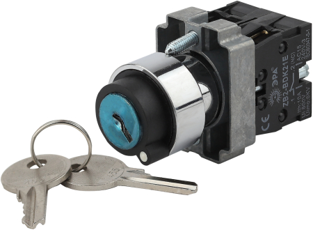 BSW80-BG-2-K02E  Переключатель ЭРА BSW80-BG-2-K02E LAY5-BG45 на 2 положения с ключом без фиксации