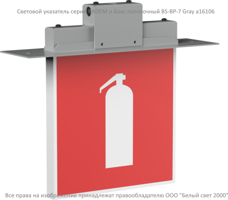 BS-RADEM-81-S1-INEXI2 Gray