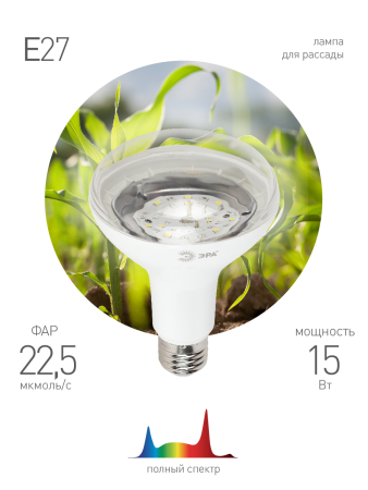 FITO Лампы тип цоколя E27  ЭРА FITO-15W-Ra90-E27