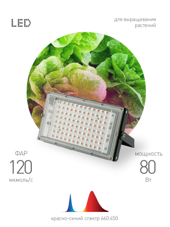 FITO-80W-RB-LED-Y  Фитопрожектор для растений светодиодный ЭРА FITO-80W-RB-LED-Y красно-синего спектра