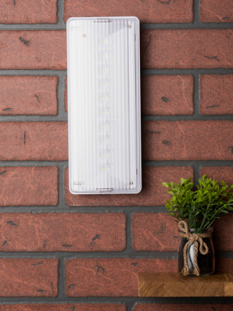 Светильник аварийного освещения SAFEWAY-10 LED EKF Proxima