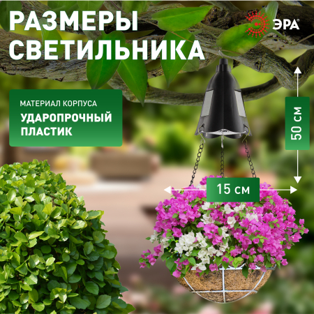 ERASF024-30 ЭРА Садовый подвесной светильник для подсветки кашпо на солнечной батарее