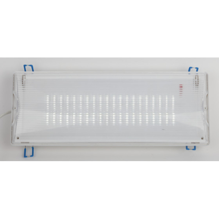 Аварийный светильник светодиодный ЭРА DPA-301-1-65 постоянный 40LED 3ч IP65 NiCD