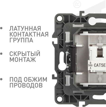 Б0014724