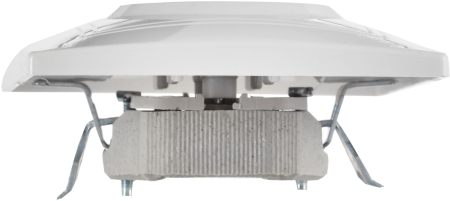 ERK23-K01-10-DM