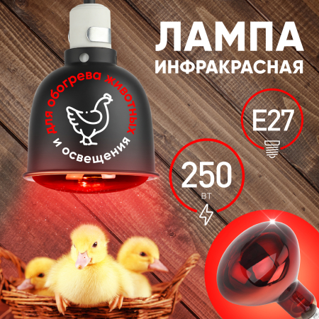 ИКЗК 220-250 R127  Инфракрасная лампа ЭРА ИКЗК 220-250 R127, кратность 1 шт. для обогрева животных и освещения, 250 Вт, Е27