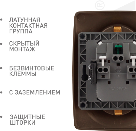 Б0036449