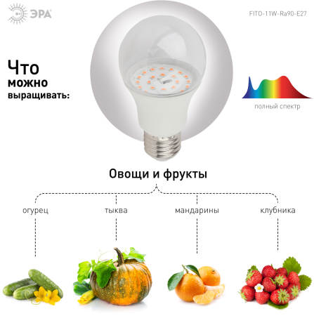 FITO Лампы тип цоколя E27  ЭРА FITO-11W-Ra90-E27