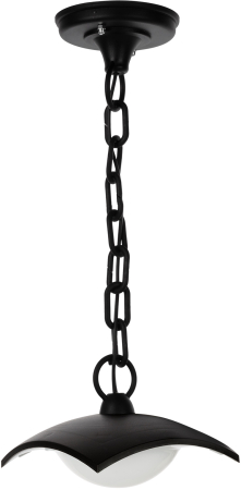 Светильник садово-парковый LED "СИТИ" ДСУ 07-08-001 У1 8 Вт 230 В 6500 К подвесной черный TDM