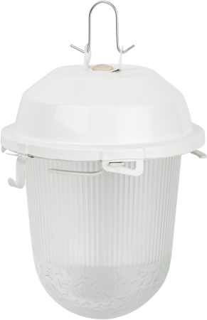 НСП 02-100-001  Светильник ЭРА  НСП 02-100-001 без решетки Желудь сталь / стекло IP54 E27 max 100Вт 170х260 белый