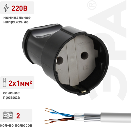 Б0039681