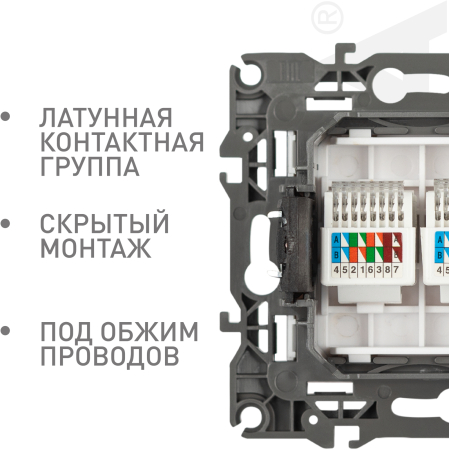 Б0014729