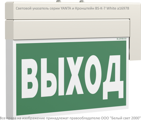 BS-YANTA-71-S1-INEXI2