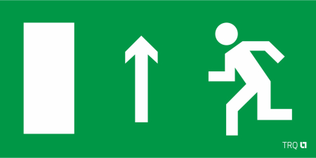 ПЭУ 093 Выход прямо левосторонний (335х165) РС-L LYRA пиктограмма