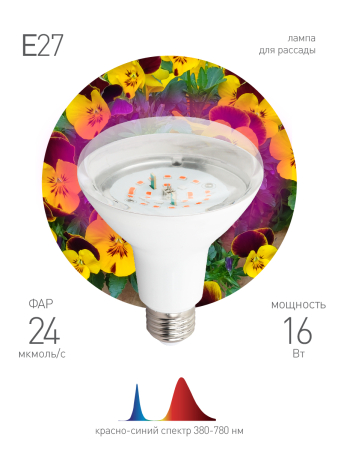 FITO Лампы тип цоколя E27  ЭРА FITO-16W-RB-E27-K