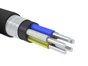 АВБШв-0,66-50100ок-Нн