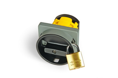 Кулачк. перекл. с ручкой. AS2502R-0901