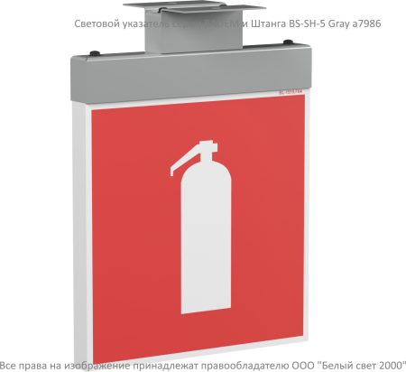 BS-RADEM-81-S1-INEXI2 Gray