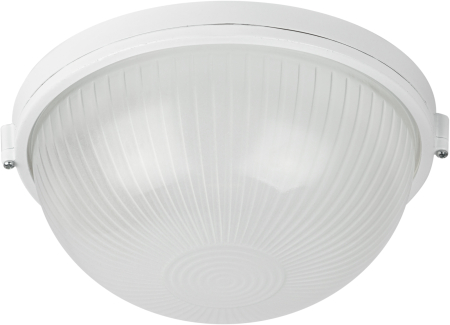 НБП 03-100-001  в инд. упаковке ЭРА 100Вт, Е27, 220В, IP54, УЗ